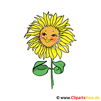 Sunflower Clipart անվճար