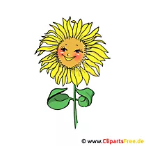 Sunflower image clipart free