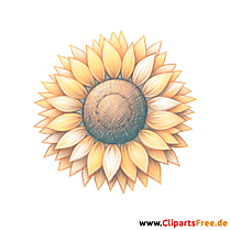 Sonnenblume Clipart - Bilder zum Herunterladen