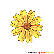 Sonnenhut Blume Clipart kostenlos