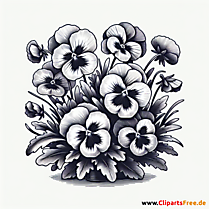 Stiefmütterchen Clipart zum Thema Blumen