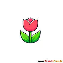 Tulipan Clipart - Bilder gratis herunterladen
