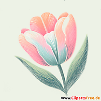 Tulipan Clipart - Bilder zum Herunterladen