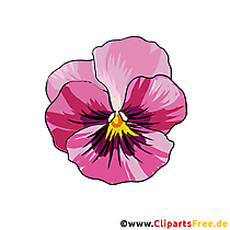Veilchen oder Violen (Viola) Blume Clipart, Bild kostenlos
