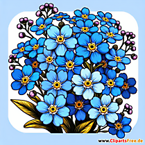 Vergissmeinnicht Clipart zum Thema Blumen