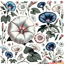 Winde Clipart zum Thema Blumen