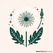 Wucherblume Clipart zum Thema Blumen