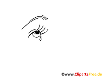 Auge Grafik-Illustration