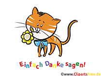 Dankessprueche zum Geburtstag kostenlos als Karte versenden