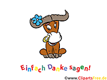 Danksagungskarten online gestalten persoenlich und stilvoll