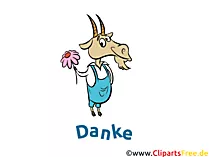 Danksagungskarten online versenden