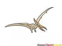 Pterosauria Bild - Dinosaurierarten Bilder, Cartoons, Illustrationen gratis