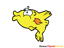 Goldfisch Bild, Clipart, Zeichnung, Illustration, Comic gratis