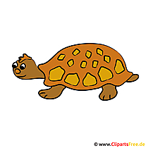 Schildkröte Clipart