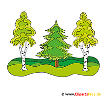 Wald Clipart