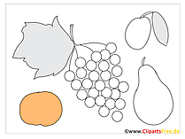 Applikationsvorlage zum Ausdrucken Obst