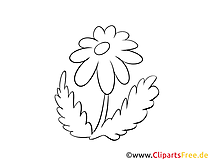 Holzarbeiten Vorlagen kostenlos Blume, Kamille