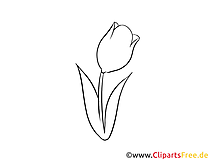 Tulpe Basteln mit Holz Holzfiguren, Holz Deko, Bastelideen