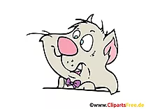 Cat Clip Art, Wondering Face Image, Comic, Cartoon
