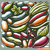 Bohnen Clipart
