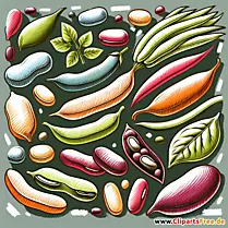 Bohnen Clipart