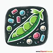 Erbse Clipart