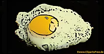 Spiegelei Clipart