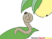 Wurm im Garten Clipart, Comic, Bild, Illustration