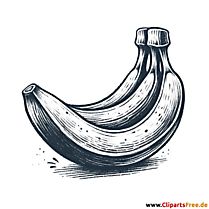 3 Bananen Clip Art schwarz-weiß