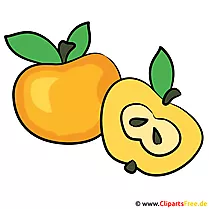 Äpfel Bild