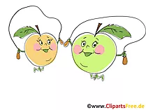 Äpfel Cliparts