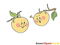 Äpfel lustige Cartoons