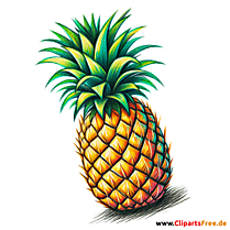 Ananas Clipart