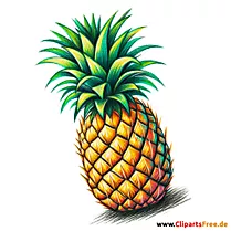 Ananas Clipart