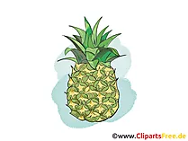 Ananas Illustration, Bild, Clipart kostenlos