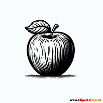 Apfel Clipart schwarz-weiss zum Thema Obst