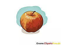 Apfel rot Illustration, Bild, Clipart kostenlos