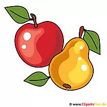 Apfel und Birne Bild
