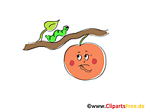 Apfel und Wurm Clipart, Bild, Cartoon Apfel und Wurm Clipart, Bild, Cartoon