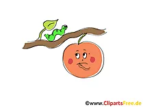 Apfel und Wurm Clipart, Bild, Cartoon