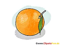 Apfelsine Illustration, Bild, Clipart kostenlos