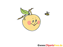 Apple Clipart, Pic, Image