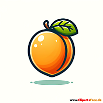Aprikose Clipart, Bild, Illustration