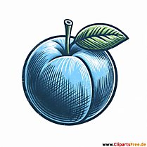 Blaue Pflaume auf weißem Hintergrund PNG Grafik