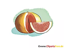 Blutorange Illustration, Bild, Clipart kostenlos