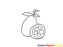 Clip Art Lemon black and white