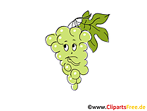 Clipart Weintrauben