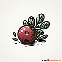 Cranberry Clipart zum Thema Obst