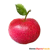 Tmavo červené jablko ilustrácie na tlač - obrázky na vyučovanie