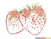 Farbzeichnung Erdbeeren auf dem weißen Hintergrund PNG Clipart